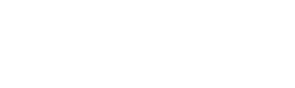 WLOGO S2